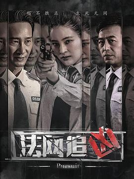 法网追凶 第二季