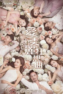 爱美丽狂想曲[国语版]