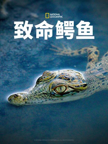 致命鳄鱼高清海报