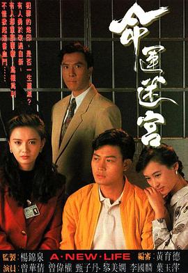 命运迷宫[国语版]