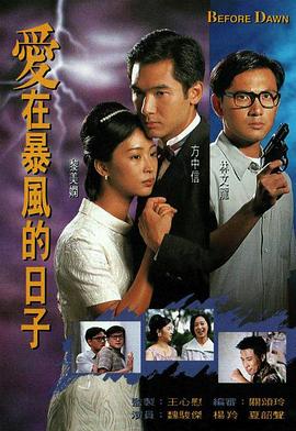 爱在暴风的日子[国语版]