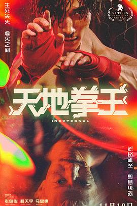 天地拳王[粤语版]
