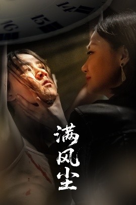 满风尘封面图