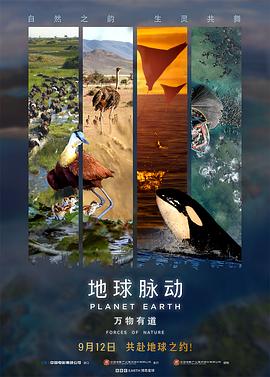 地球脈動：萬物有道預告片