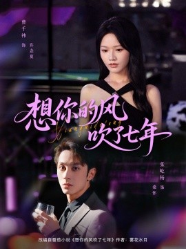 想你的風吹了七年
