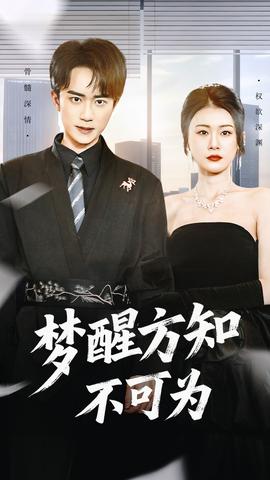 夢醒方知不可為