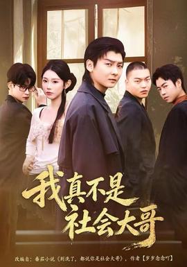 我真不是社會(huì)大哥