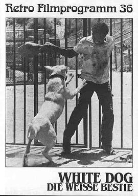 白狗【影视解说】封面图