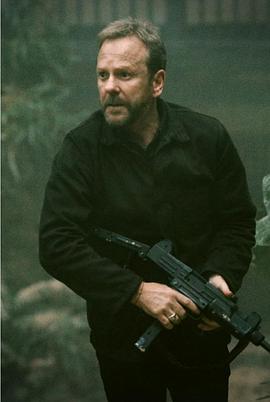 孤峰追击封面图