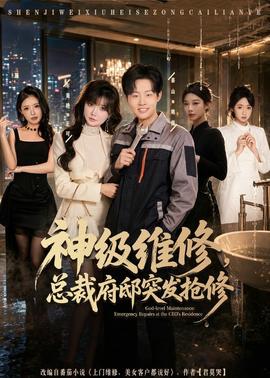 神级维修,总裁府邸突发抢修