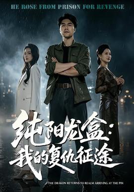 纯阳龙盒:我的复仇征途