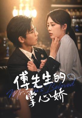 傅先生的掌心娇