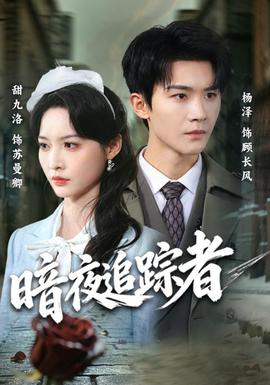 暗夜追踪者封面图