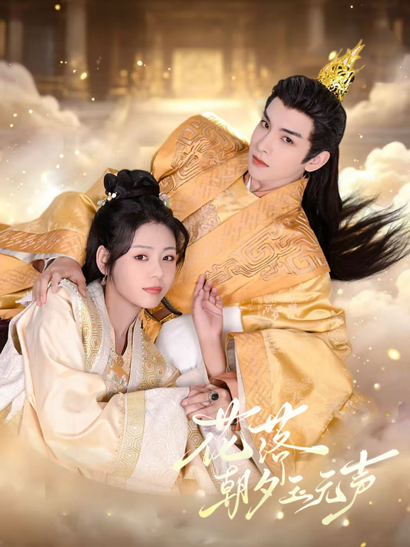 花落朝夕玉无声封面图