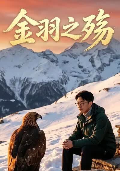 金羽之殇