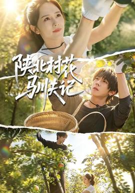 陕北村花驯夫记封面图