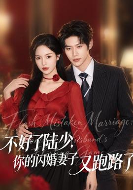 不好了陆少，你的闪婚妻子又跑路了