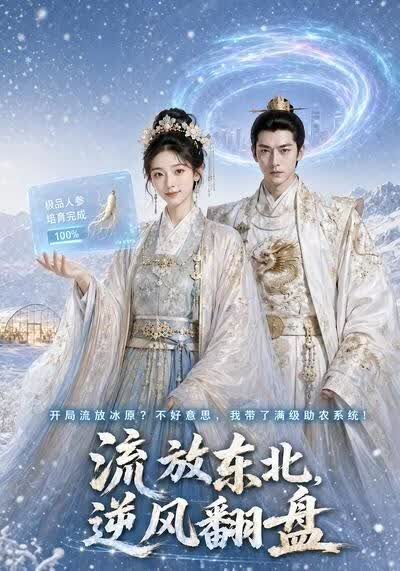 流放东北，逆风翻盘